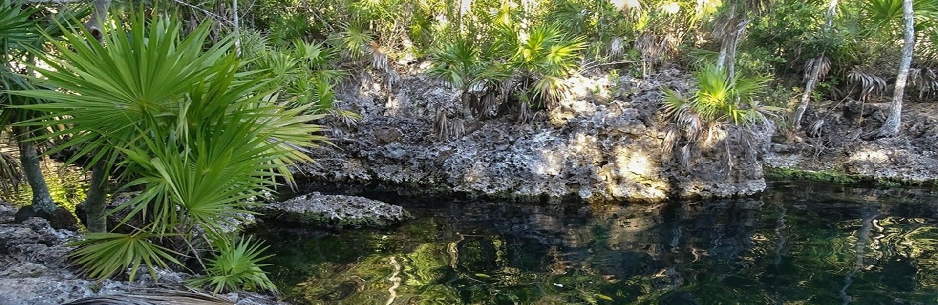 Karst formations, Cueva de los Peces, Zapata Peninsula, Matanzas